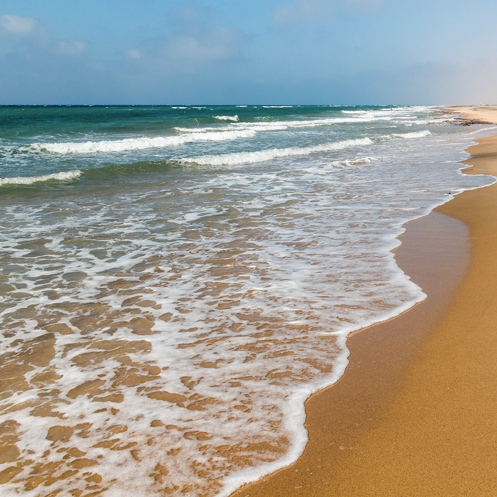 plage somali 1024x1024